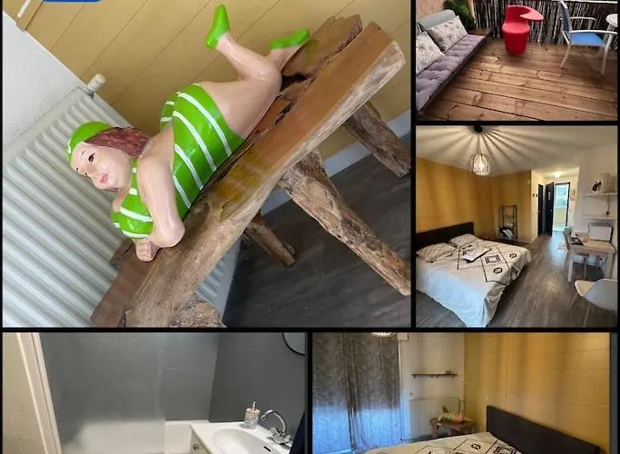 Zen Piscine Apartament *